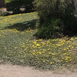 Meet your Posher, Harman